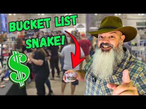 Видео: Змея, которую я искала ГОДАМИ, найдена на выставке рептилий