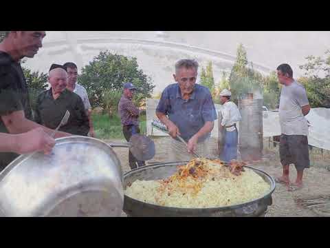 Видео: Нахар аш Корсаи елі