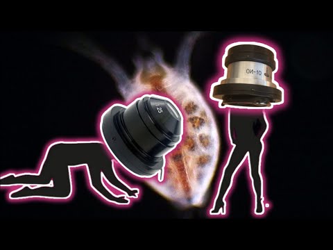 Видео: DIY темное поле против настоящего