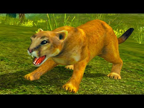 Видео: СИМУЛЯТОР ДИКОЙ КОШКИ #4 Семья пумы с Кидом на #ПУРУМЧАТА