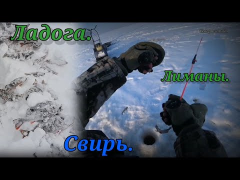 Видео: РЫБАЛКА В КОНЦЕ ЯНВАРЯ 2022 НА СВИРИ И ЛИМАНАХ. ШТИЛЬ И МЕТЕЛЬ ЕСТЬ ЛИ РАЗНИЦА?