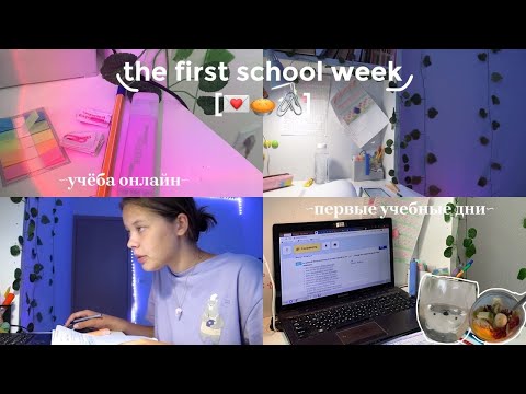 Видео: первая учебная неделя // онлайн школа, много занятий