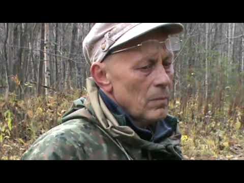 Видео: Гончатник Бельтюков