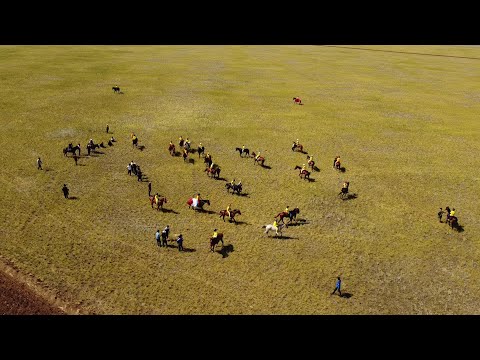 Видео: АЛАМАН БӘЙГЕ 2025| Сарбұлақ