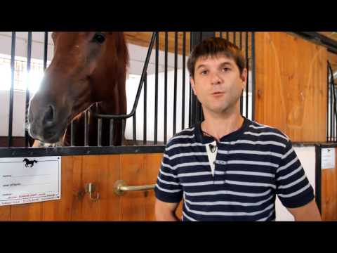 Видео: Мой город - Казань. Выпуск 43. Казанский ипподром.