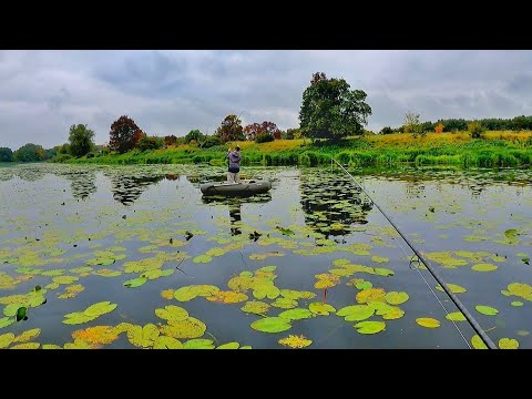 Видео: В ЦЬОМУ ЛАТАТТІ ПОВНО ЩУКИ! Ловля ЩУКИ на НЕОГРУЖЕНИЙ СИЛІКОН! Щука на неогружену резину восени 2022