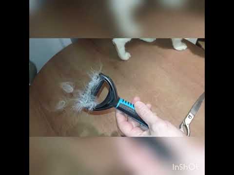 Видео: КОЛТУНОРЕЗ TRIXIE ИЛИ ЧЕСАЛКА ДЛЯ КОТИКОВ