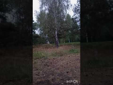 Видео: Каждый получит то, чего заслуживает. По принципам чистого света. 16.09.25