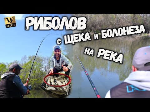 Видео: Риболов с ЩЕКА и БОЛОНЕЗА на РЕКА   River Fishing
