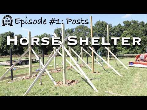 Видео: Строительство конюшни — Эпизод №1: Посты