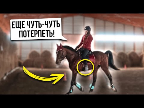 Видео: Конная Тренировка БЕЗ СТРЕМЯН Строевой Рысью 😰 | VLOG