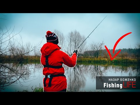 Видео: НЕОЧІКУВАНИЙ ТРОФЕЙ - КОРОП НА СПІНІНГ🔥