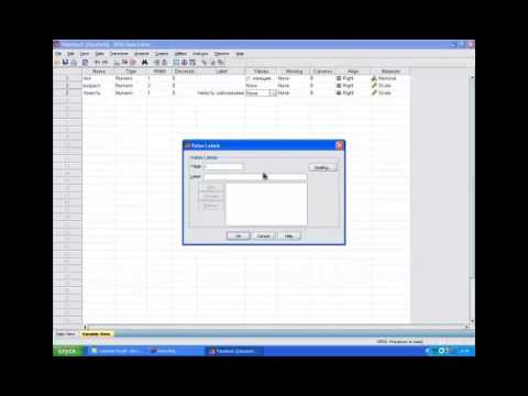 Видео: Медицинская информатика - Урок 1: Создание файла