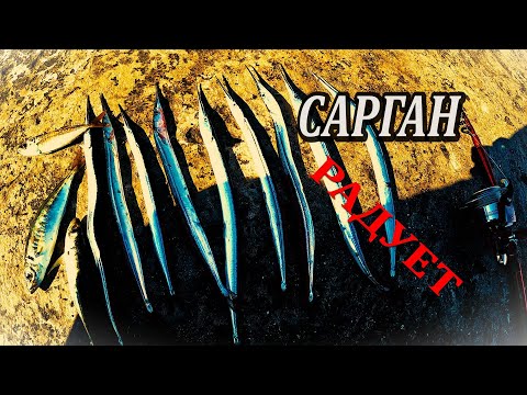 Видео: НАШЕЛ НОВОЕ Рыбное Место! Морская Рыбалка Ловля Саргана НА Черном Море