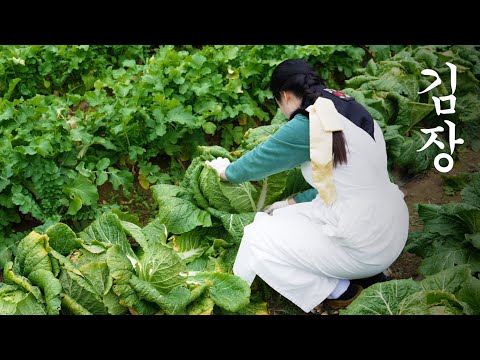 Видео: День приготовления кимчи 🥬 | Хранение кимчи в закопанном горшочке 🌶 ️