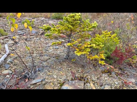 Видео: командировка в сланцевый карьер