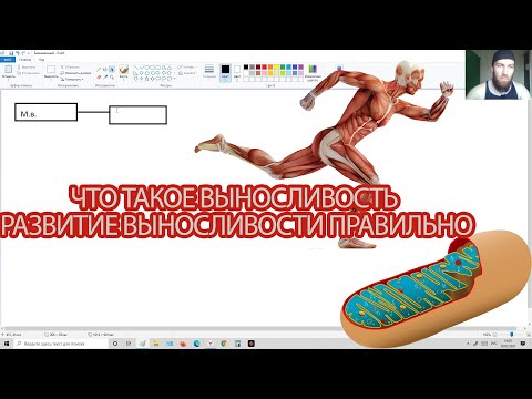 Видео: Выносливость тренировка. Развитие выносливости. #Выносливость #Развитиевыносливости#Выносливостьмышц