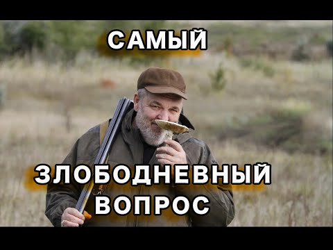 Видео: Злободневно о важном. Снова!