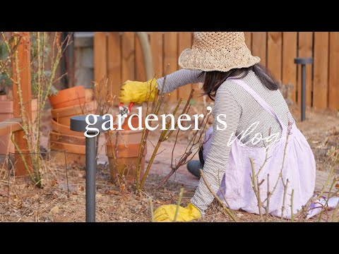 Видео: О чём говорит сад спустя 13 лет | Подсыпка земли, обрезка роз и борьба с вредителями