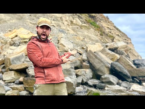 Видео: Охотник за ископаемыми обнаружил оползень, полный окаменелостей!