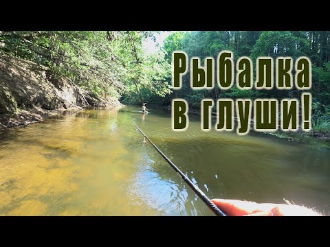 Видео: ЭТА ПРОВОДКА ВАС КРУТО УДИВИТ!!! ЛОВЛЯ ГОЛАВЛЯ ВЗАБРОДКУ!!!