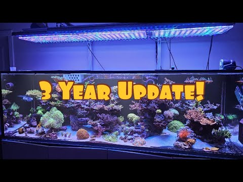 Видео: 3-летний обзор Red Sea S-1000