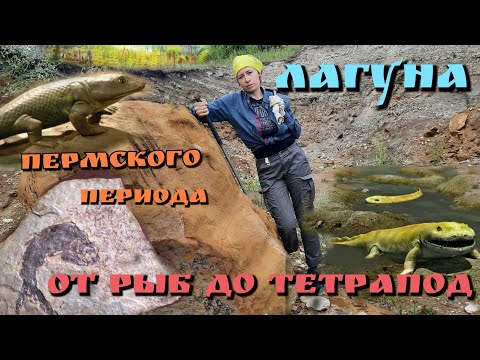 Видео: Поиск отпечатков рыб и тетраподов в древней лагуне. Прогулка по Пермскому палеолесу. Покорение суши.