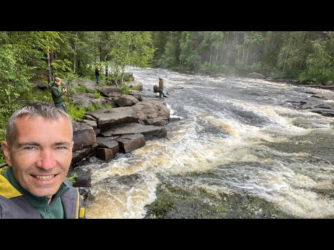 Видео: Сплав река Воньга 2024 серия 3