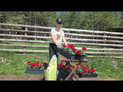 Видео: ПРОЛЕТНО ПОЧИСТВАНЕ НА ДВОРА В ГОРСКАТА КЪЩА#spring#ПРОЛЕТ#offgrid#cabinhouse #