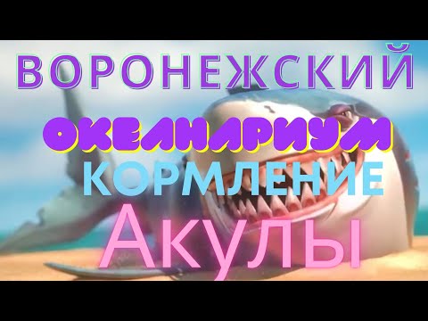 Видео: Воронежский Океанариум - в Сити Парке «Град»‎. Voronezh Aquarium - in the city Park "Grad"