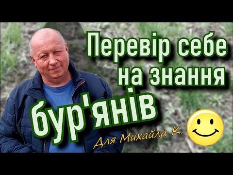 Видео: Вивчаємо бур'яни разом.