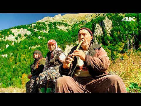 Видео: Жизнь наверху | Документальный