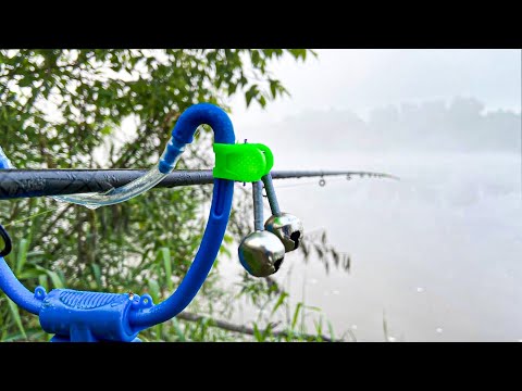 Видео: УРА! НАКОНЕЦ ОКА! РЫБАЛКА С НОЧЕВКОЙ. ЛОВЛЯ НА САЛО, ПШЕНИЦУ И ГОРОХ. ДВА СУПЕР МОНТАЖА ДЛЯ РЕКИ.