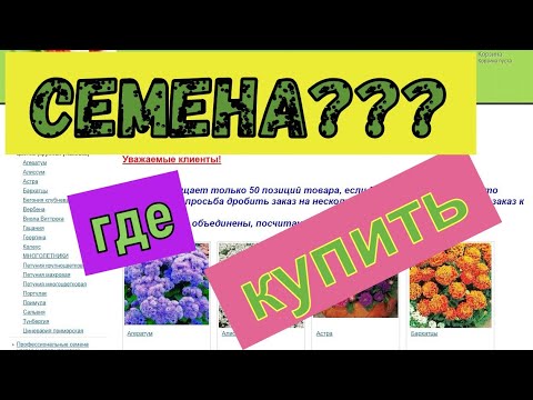 Видео: Где купить семена? И какие семена купить?