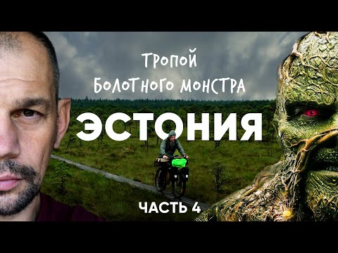 Видео: Сквозь эстонскую тайгу на велосипеде. Эстония.