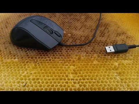 Видео: Мышь и сушь /Как сохранить сушь от мышей /Как избавиться от мышей