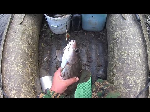 Видео: Рыбалка на ХАРИУСА в Коми/сплав по таёжной реке/часть1 Grayling fishing, river rafting