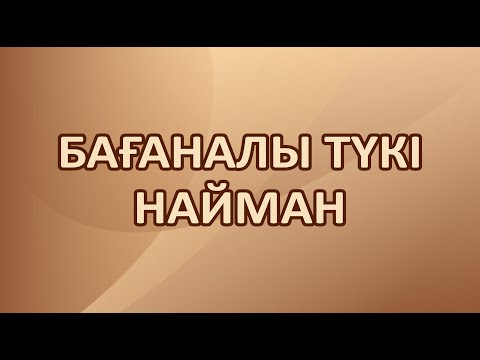 Видео: 2019 ЖЫЛЫ ҚЫЗЫЛОРДА ТҮКІ БАТЫР ҰРПАҚТАРЫНЫҢ БАБА РУХЫНА АРНАЛҒАН АС. 2-БӨЛІМ