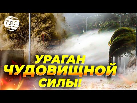 Видео: Сколько людей спаслись от тайфуна в этом году?