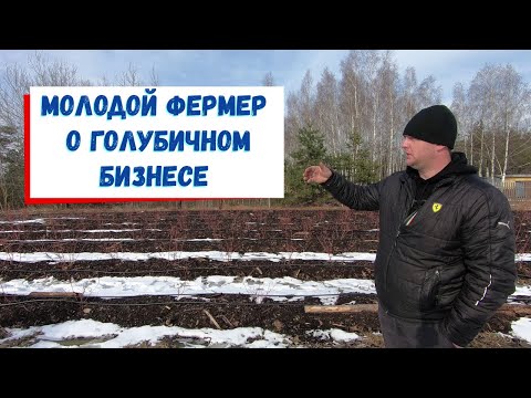 Видео: Как всё начиналось и чего добился в голубичном бизнесе