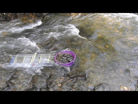 Видео: За самородной платиной