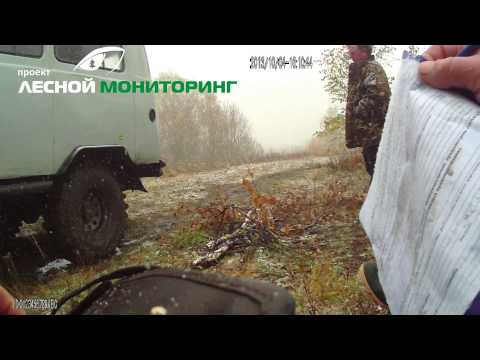 Видео: Видео с инспекторского видеорегистратора.