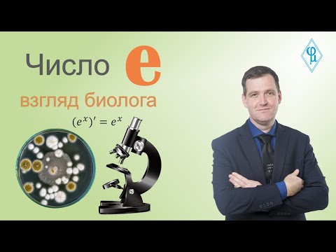 Видео: Число e глазами биолога
