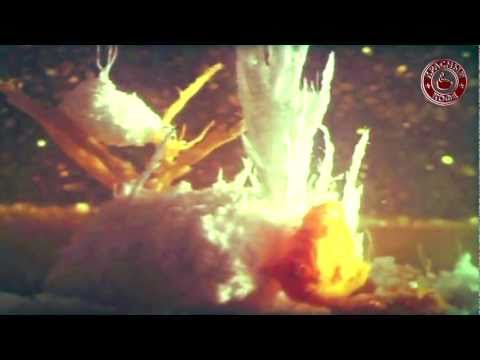 Видео: Киножурнал «Хочу всё знать» - №183