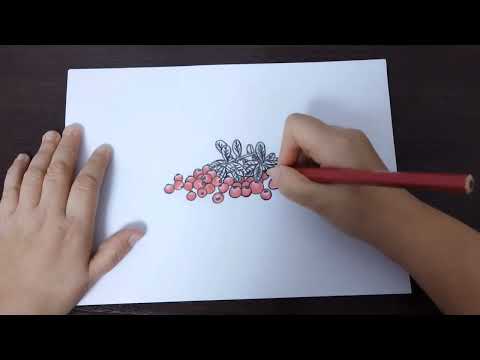 Видео: АСМР рисую Клюкву 🌿 Истории из жизни. Поболтаем перед сном. Видео и звуки для сна. Шёпот, мурашки.