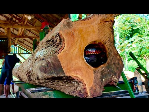 Видео: Смертельная и почти опасная угроза! Долгий процесс обработки красного дерева на лесопилке