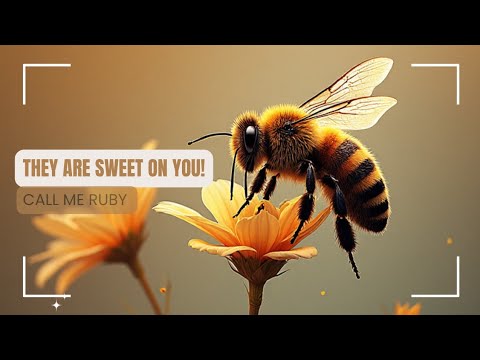 Видео: ОНИ ВАМ ОЧЕНЬ ПОНРАВЯТСЯ! 🐝 🍯 💍 💕
