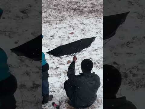 Видео: Бузкаши Точикобод 19.01.2025  тамошо кун лайка бшап