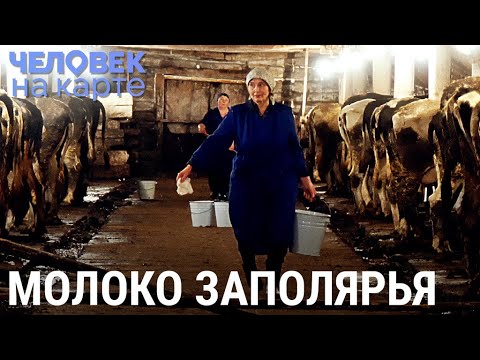 Видео: Молочная ферма на Крайнем Севере | ЧЕЛОВЕК НА КАРТЕ