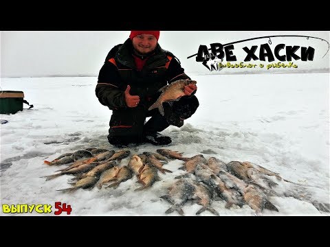 Видео: ПОИСК АКТИВНОГО ЛЕЩА! РАБОЧИЙ МЕТОД.  Зимняя рыбалка на водохранилище